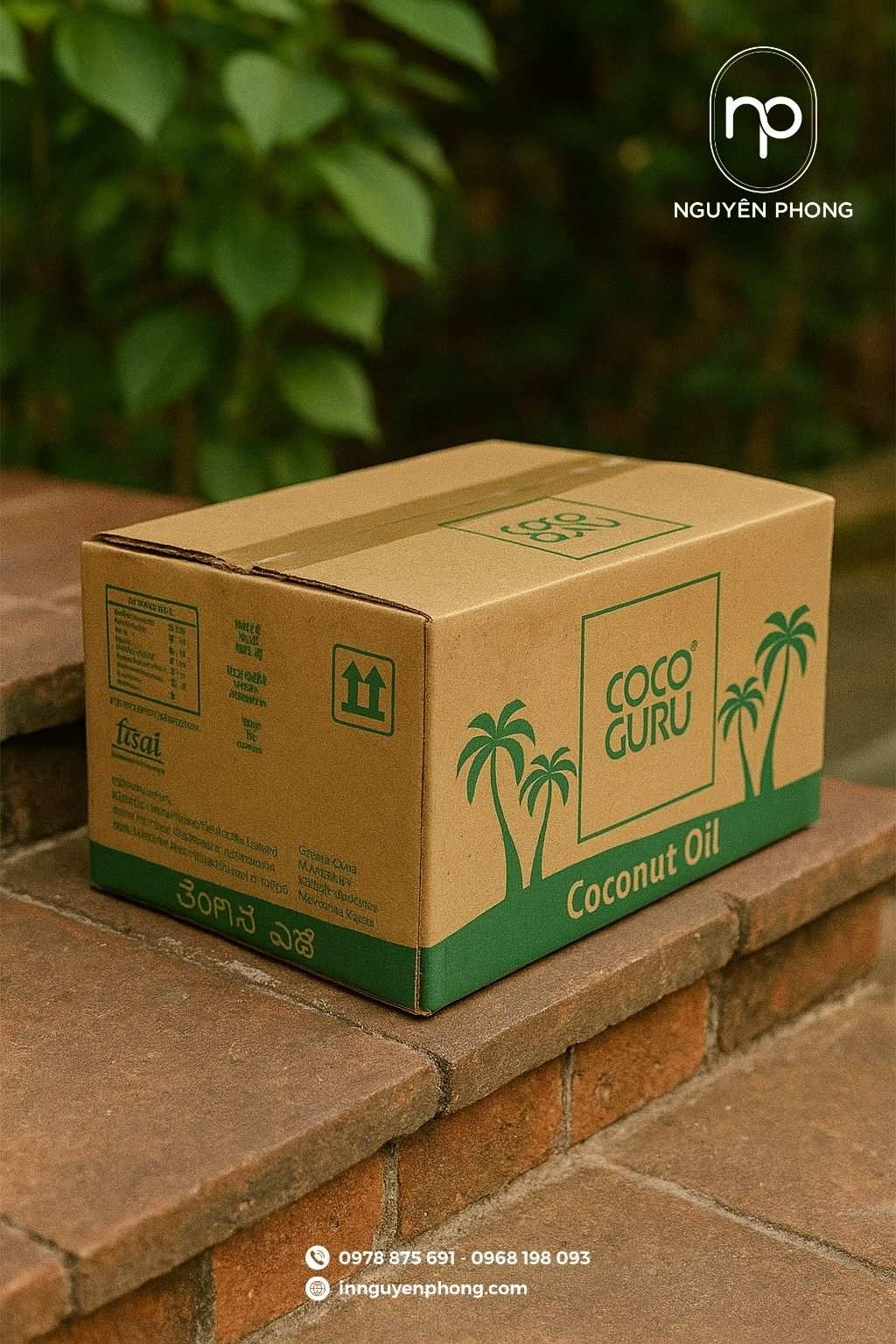 Mẫu thùng carton đựng dừa lỗ phong cách tối giản